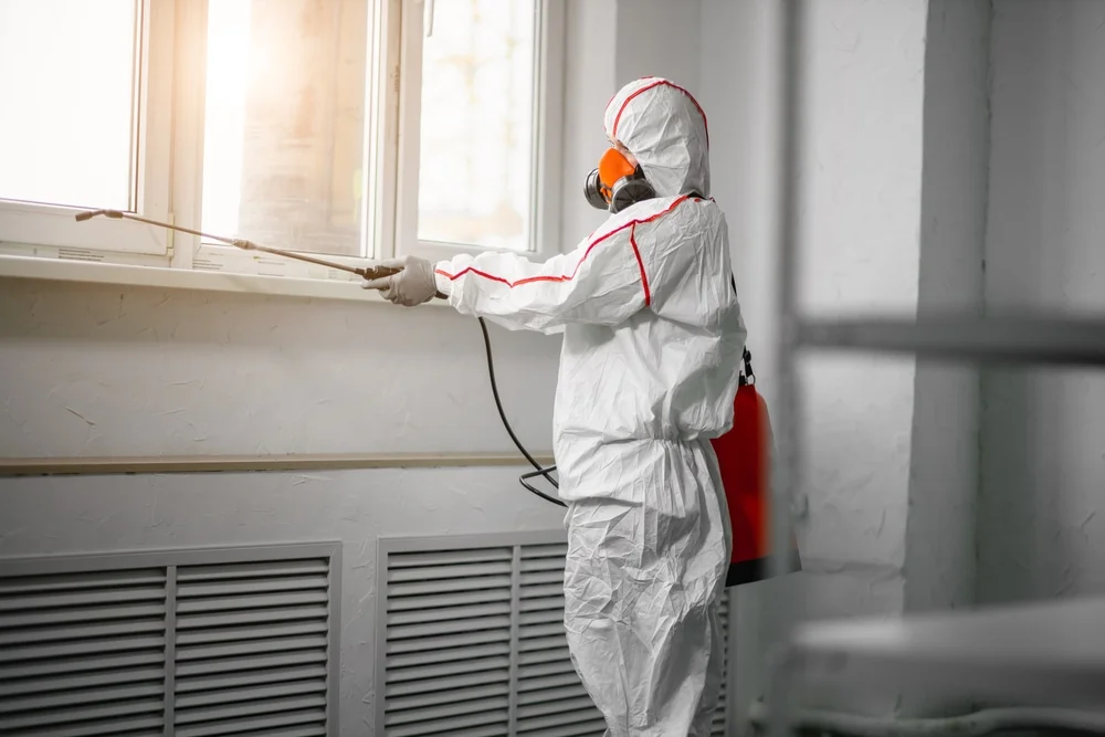 Professional mold remediation services in Minden, NV